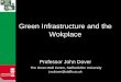 Green infrastructure and the workplace