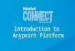 Introduction to Anypoint Platform