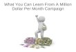 What I Learned From a Million Dollar Per Month Campaign