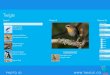 Twigle Birds Field Guide with Bird Photo Identification