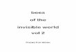 Bees Of The Invisible World Vol 2 - Buffalo