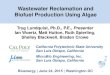 Wastewater Reclamation and Biofuel Production Using Algae