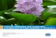 Towards integrated and sustainable management of water hyacinth 