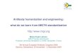 Antibody humanization and engineering: what do we learn from 