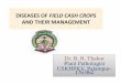 DISEASES OF FIELD CASH CROPS AND THEIR MANAGEMENT