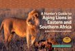 A Hunter's Guide to Aging Lions in Eastern and Southern Africa