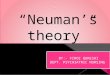 “Neuman’s theory”