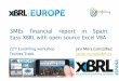 SMEs financial report in Spain: Easy XBRL with open source Excel 