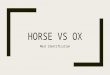 Differenc between meat of Horse and ox