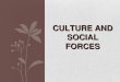New cultural and social forces