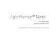 20161028 Agile-Fluency-Model-By-Jerry-Rajamoney