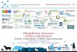 Phosphorus recovery: policy and drivers at WssTP Resource Recovery workgroup meeting