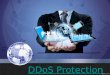 DDoS Protection Services