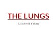 The Lungs (Anatomy of the Thorax)
