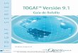 TOGAF® Versión 9.1 – Guía de Bolsillo