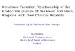 Structure-Function Relationship of the Endocrine Glands of the Head and Neck Regions with their Clinical Aspects