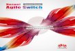 Huawei Agile Switch Success stories