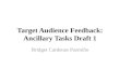 Target Audience Feedback: Ancillary Tasks Draft 1