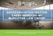 Representative Matter Cases Handled by Burgoyne Law Group
