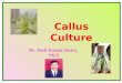 Callus culture -Tissue Culture
