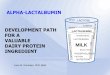 Alpha Lactalbumin - Development path for a valuable dairy protein ingredient