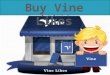 Buy active vine likes and increase sales