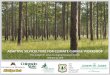 Adaptive Silviculture for Climate Change Workshop