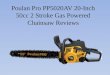 Poulan pro pp5020 av 20 inch 50cc 2 stroke gas powered chain saw