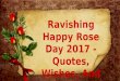 Ravishing Happy Rose Day 2017 - Quotes, Wishes, And Images