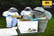 Beehive Management Services