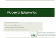A Role for in-utero Arsenic Exposure in Epigenetic Alterations 
