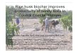 Peter Slavich Rice husk biochar improves productivity of sandy soils 
