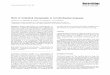 Role of computed tomography in vertebrobasilar ischemia (1985)