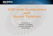 CHP with Combustion and Steam Turbines