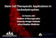 View Stem Cell Therapy Presentation