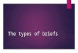 The types of briefs