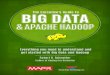 Executive Guide: Big Data and Hadoop