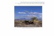Structure and Function of Chihuahuan Desert Ecosystem The 