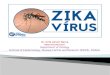 Zika virus barna