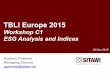 TBLI EUROPE 2015 - ESG Analyses and Indices - Gustavo Pimentel