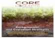 Core Concepts Backgrounder and Evaluation Strategies
