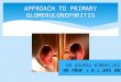 Approach to primary glomerulonnephritis