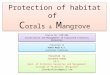 Protection of habitat of corals