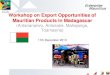 Workshop on Export Opportunities of Mauritian Products in 