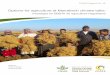 Options for agriculture at Marrakech climate talks: messages for 