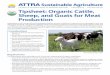 Tipsheet: Organic Cattle, Sheep, and Goats for Meat Production