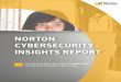 Norton Cybersecurity Insights Report
