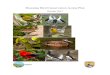 Hawaiian Bird Conservation Action Plan