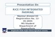Rice fish integrated farming presentation