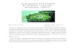 An Integrated Fish Culture Hydroponic Vegetable Production System